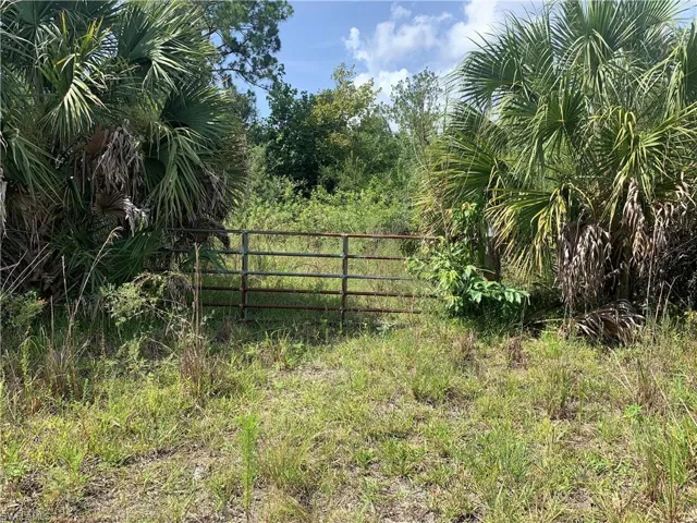 1020 Limpkin Rd, Naples, Florida 34120