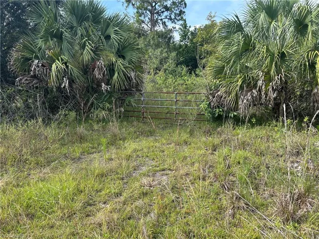 1020 Limpkin Rd, Naples, Florida 34120