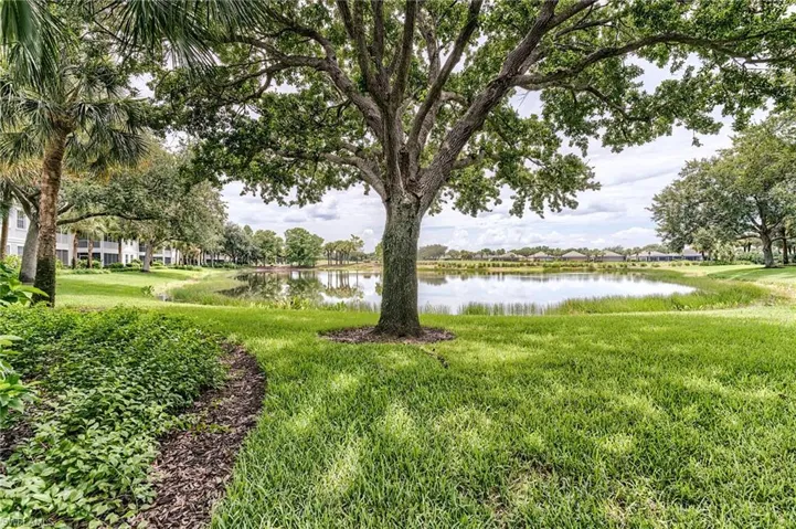 9151 Palmetto Ridge Dr 102, Estero, Florida 34135