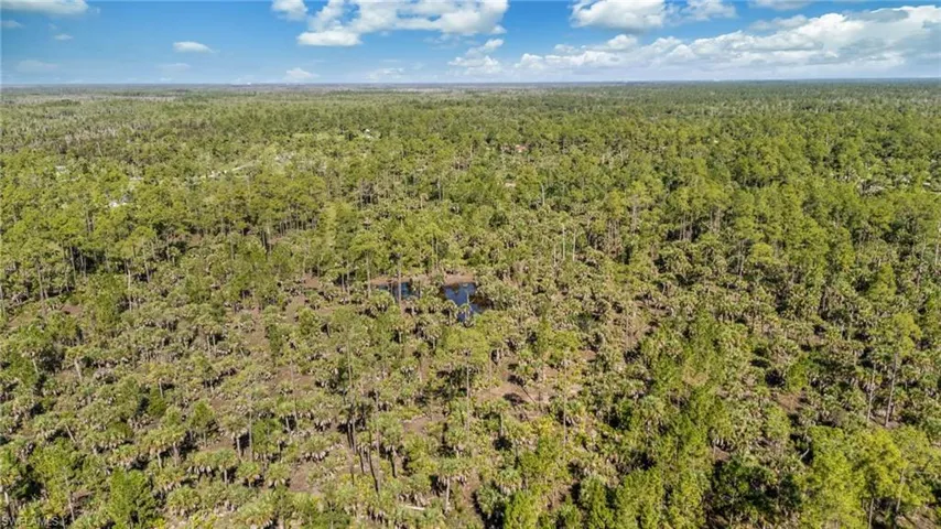 6010 Lee Williams Rd, Naples, Florida 34117
