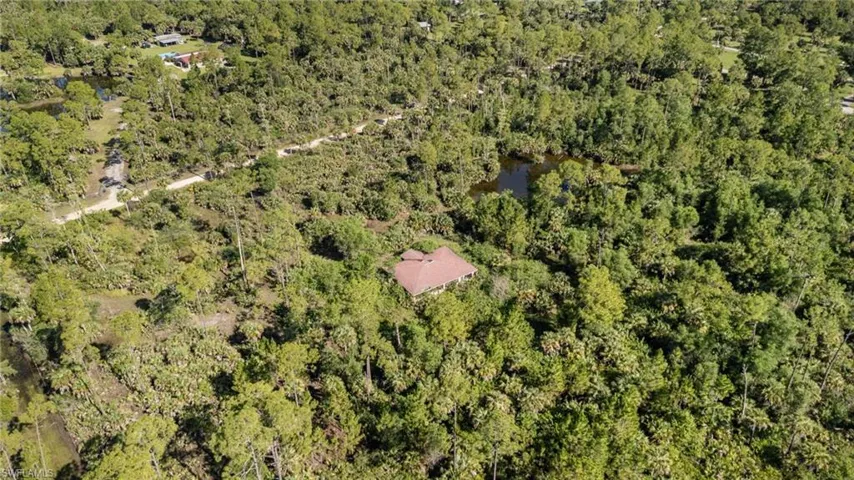 Expansive natural landscape featuring lush green foliage and mature trees