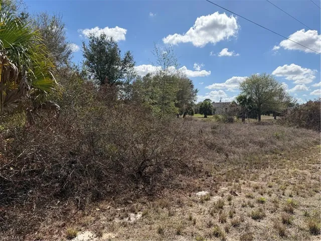 1704 Abbott Ave, Lehigh Acres, Florida 33972
