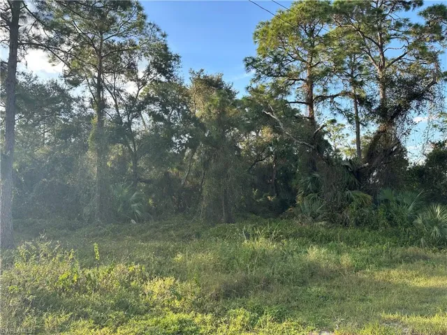 1713 Greenwood Ave, Lehigh Acres, Florida 33972