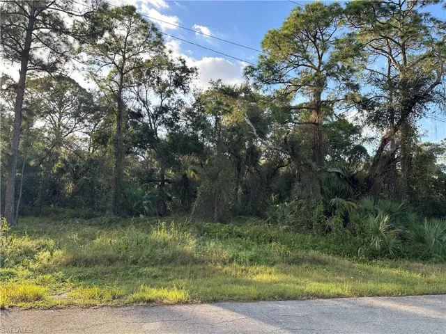 1713 Greenwood Ave, Lehigh Acres, Florida 33972