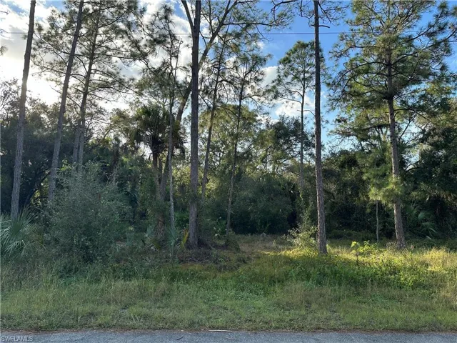 1713 Greenwood Ave, Lehigh Acres, Florida 33972