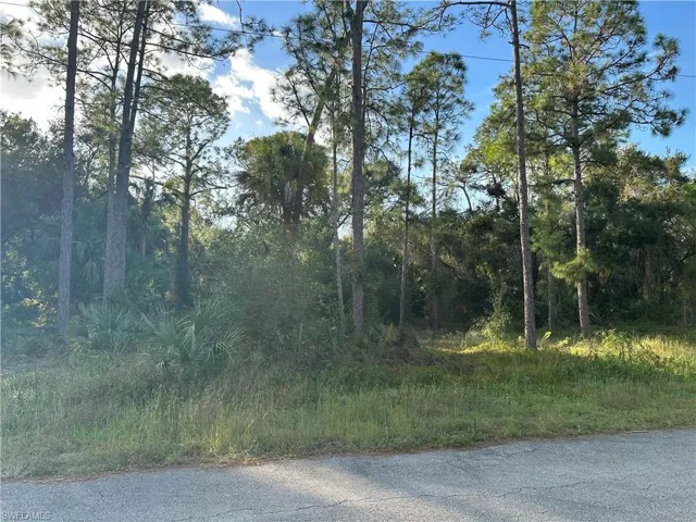1713 Greenwood Ave, Lehigh Acres, Florida 33972