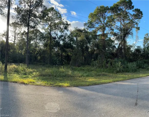 1713 Greenwood Ave, Lehigh Acres, Florida 33972