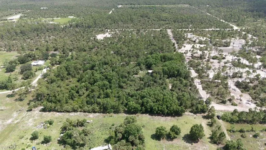 Expansive wooded acreage featuring diverse tree coverage and multiple clearings