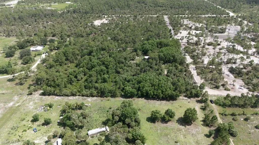 Expansive parcel featuring diverse tree coverage, including dense forest areas and scattered foliage