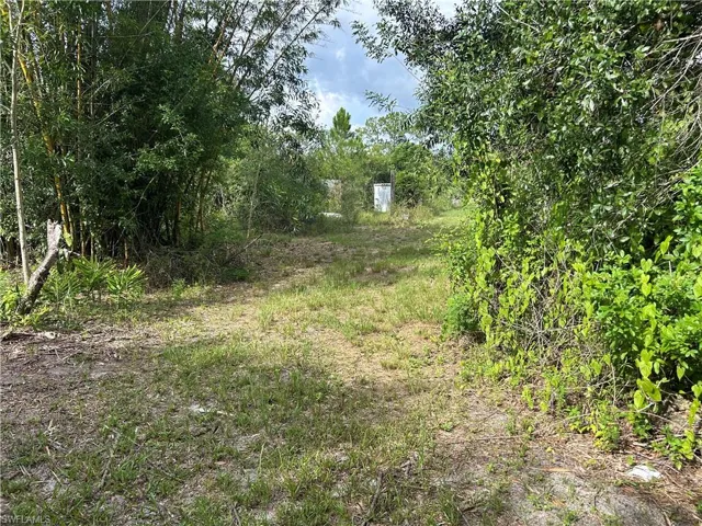 1070 Limpkin Rd, Naples, Florida 34120