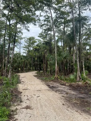 View of street