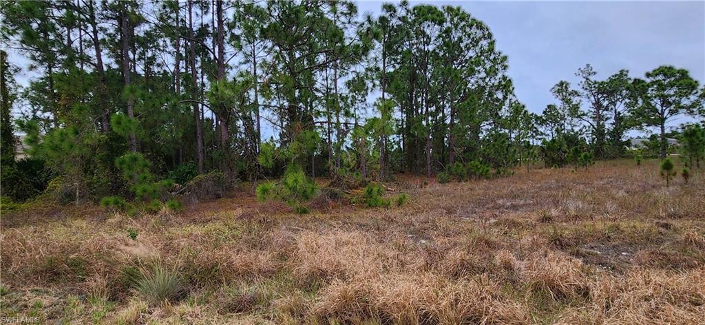 955 Candlelight DR, LEHIGH ACRES FL 33974