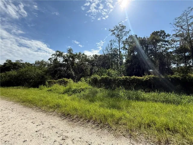 View of undeveloped land