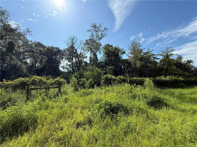 View of nature
