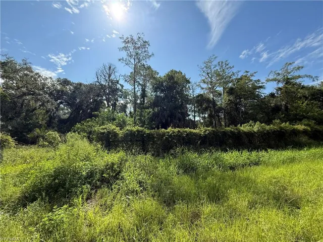 View of nature