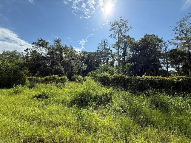 View of undeveloped land
