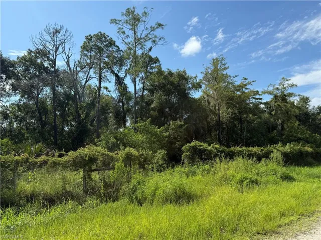 View of undeveloped land