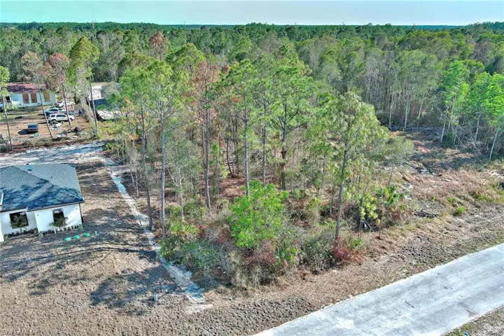 Aerial view of a forest