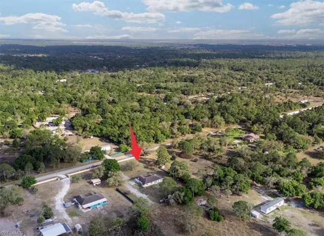 Drone / aerial view of a forest