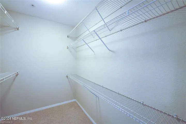 Spacious closet with carpet flooring