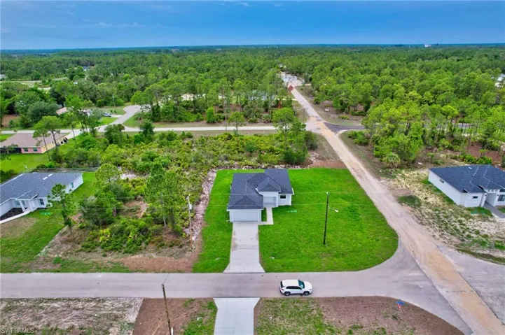 Aerial view of a forest