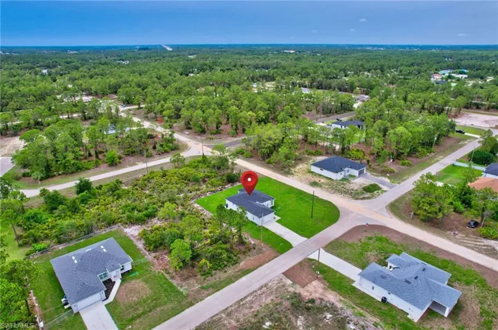 Bird's eye view of a forest