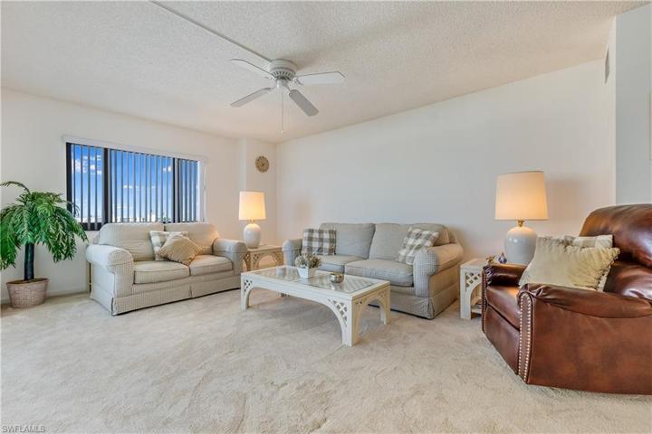 Spacious living room and new carpet