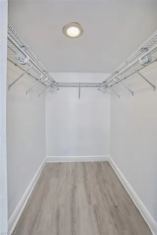 Spacious closet featuring light wood-style floors