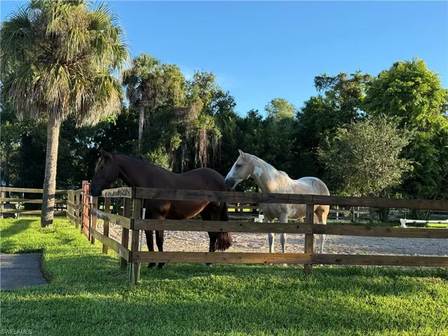 View of horse barn