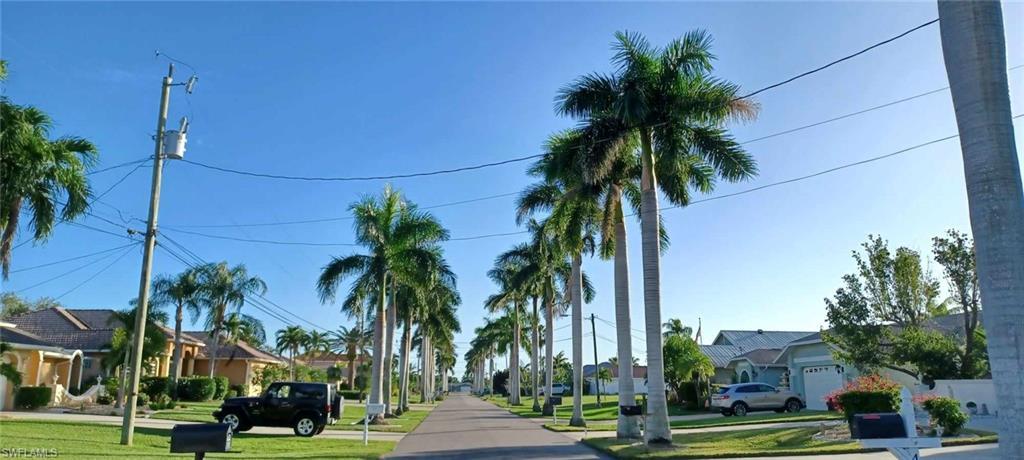 Majestic Royal Palms line the street