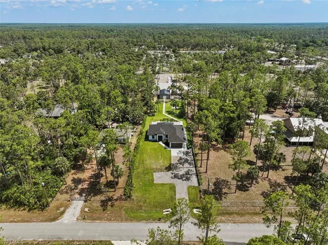 Drone / aerial view of a forest