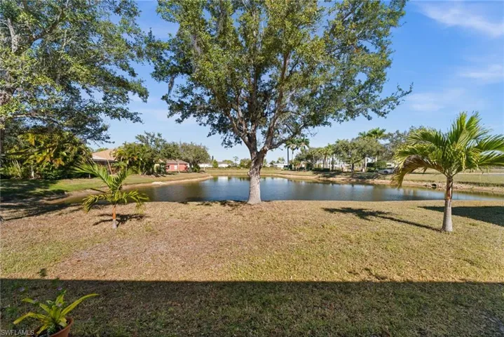 Peaceful views of the pond from the backyard