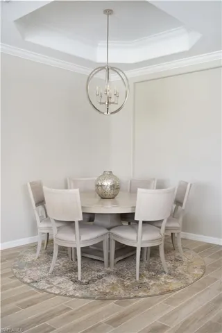 Dining area featuring a tray ceiling and light hardwood / wood-style floors