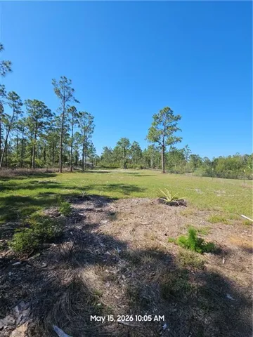 Clear site