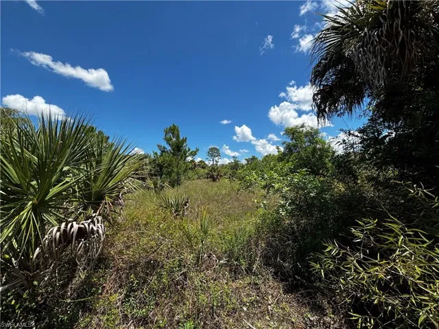 3485 35th Ave Ne, Naples, Florida 34120