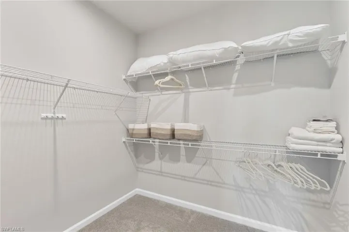 Walk in closet with light carpet