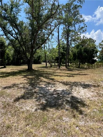 View of local wilderness