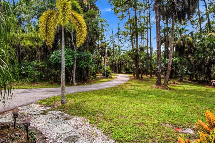 FULLY FENCED property offers irrigation & is surrounded by serene, wooded landscape with gorgeous FRUIT TREES plus mature OAK TREES, PINE TREES & TROPICAL PALMS.