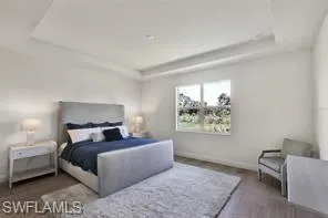 Primary bedroom with tray ceiling