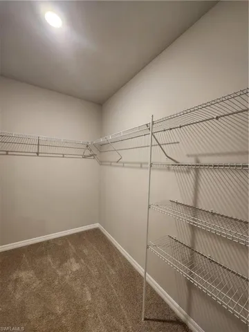 Walk in closet featuring dark colored carpet