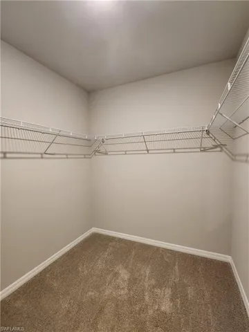 Walk in closet with carpet