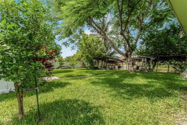 View of green lawn