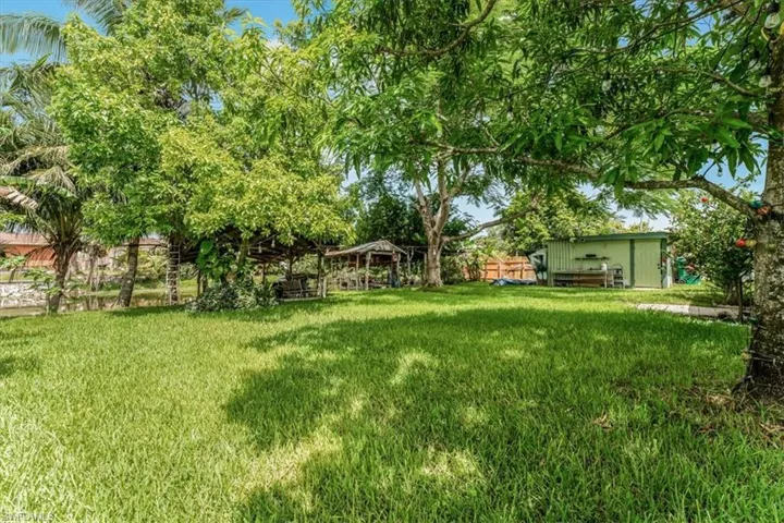 View of grassy yard