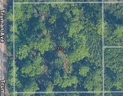 Map / location
