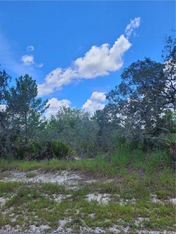 3265  Purple Martin  AVE, LAKE PLACID, FL 33852
