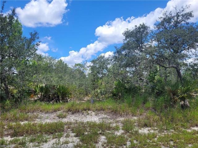 3265  Purple Martin  AVE, LAKE PLACID, FL 33852
