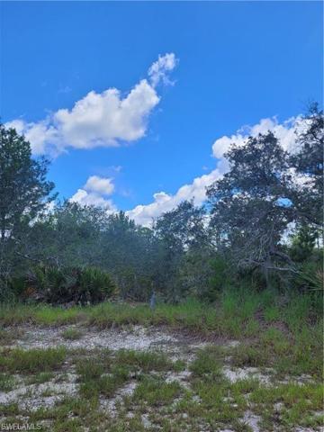 3265  Purple Martin  AVE, LAKE PLACID, FL 33852