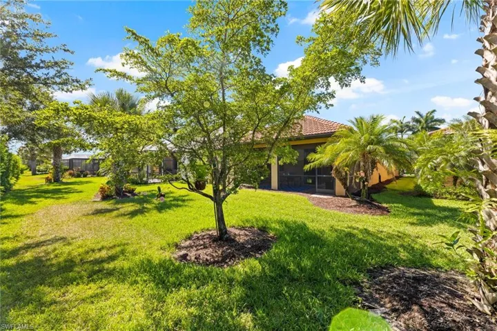 View of spacious backyard
