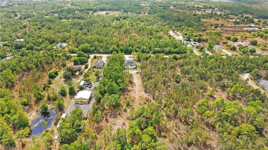 Drone / aerial view of a forest