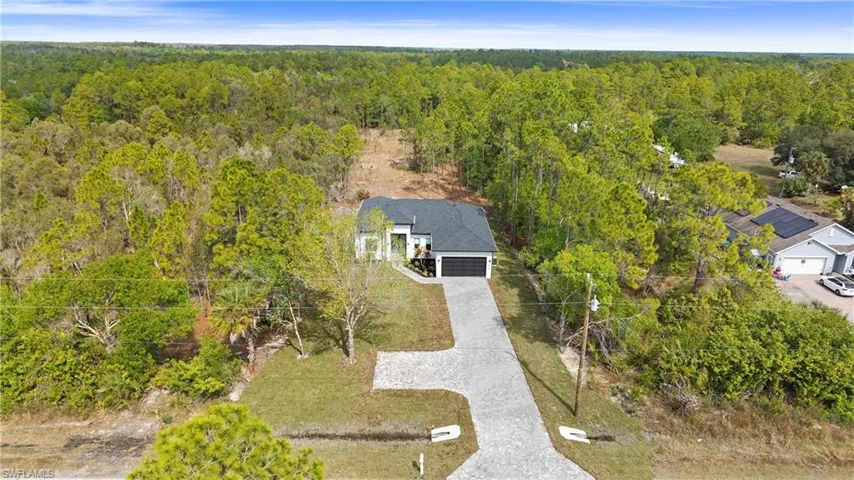 Bird's eye view of a forest